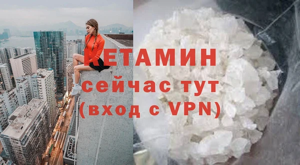 гидра Алексеевка
