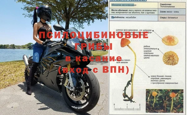 прущие крисы Алексин